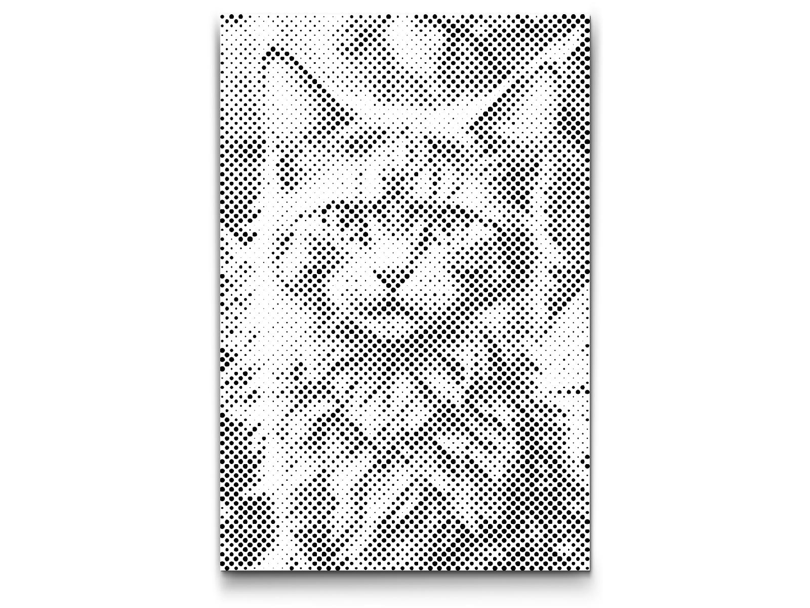 Dotting Points - Magical winged cat